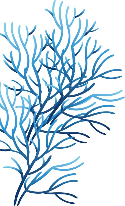 Sea Coral Drawing Free Download On Clipartmag