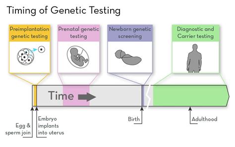 What Is Preimplantation Genetic Testing