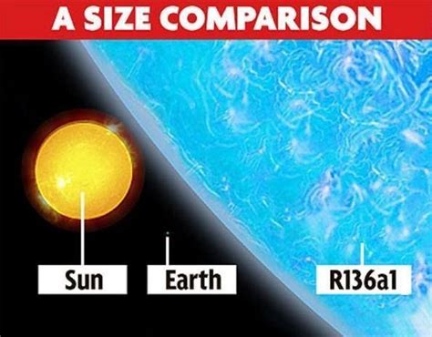 A Size Comparison With R136a1 A Wolf Rayet Star Located At The Center