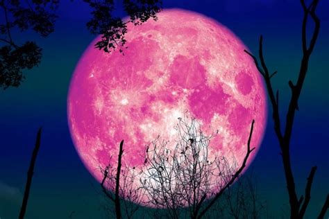 The moon will reach peak brightness early on tuesday, april 27 (image: April Full Moon: The Power of Becoming (With images ...