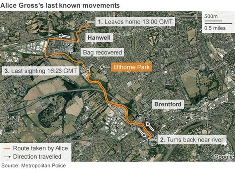 Alice Gross Police Review Footage From 300 Cctv Cameras Bbc News