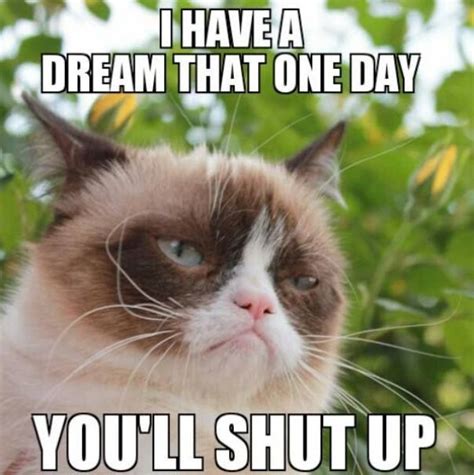 Funny Grumpy Cat Pictures With Quotes