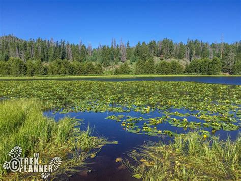 Lily Lake And Wolverine Atv Trail Uinta Mountains The Trek Planner