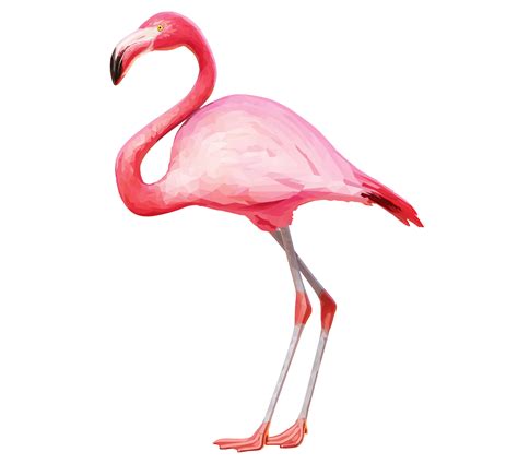 Library Of Free Transparent Flamingo Flag Vector Png Files
