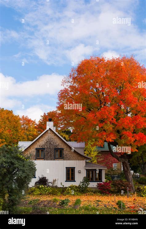 Stunning Autumn Colors In Rural Quebec Stock Photo Alamy