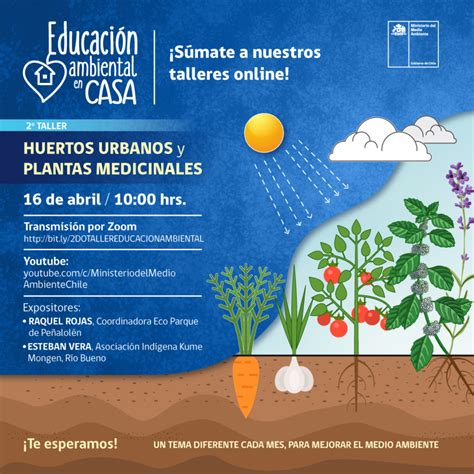 Educación Ambiental En Tu Casa Educación Ambiental Y Participación