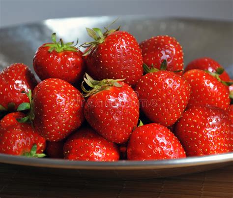 Red Juicy Strawberries Stock Image Image Of Farm Nature 73047651