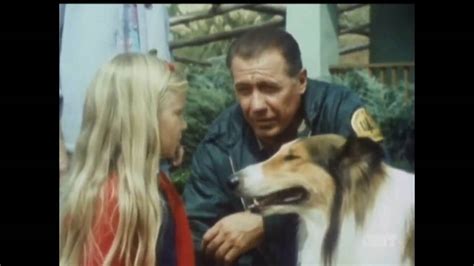 Lassie Episode 462 Miracle Of The Dove Season 14 Ep 15