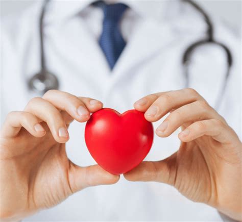Cardiologia Amot Assistência Médica