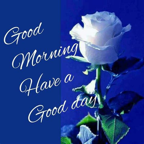 Blue Rose Good Morning Good Morning Motivational Quotes