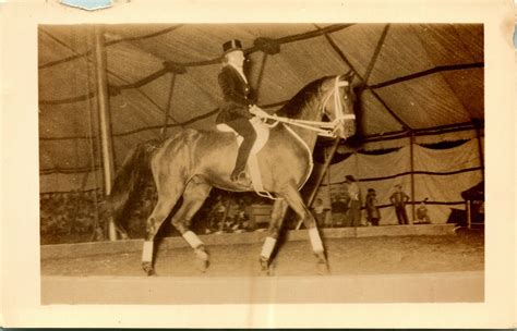 Vtg Postcard 1950s Devolite Rppc Circus Ringmaster Riding Horse