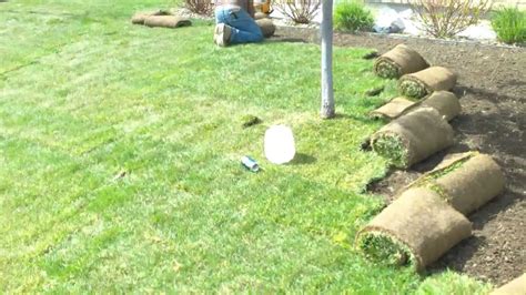 How To Install Sod By Denver Landscape Contractor Youtube