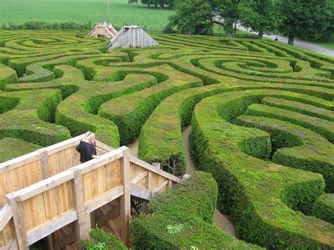Longleat Hedge Maze Difficult But Interesting Challenge For Tourists