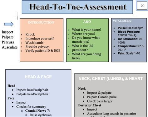 Head To Toe Nursing Assessment Template