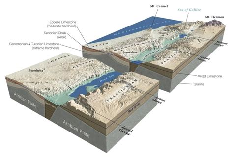 Geological Cut Of The Dead Sea Located In A Miocene Tectonic