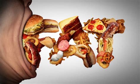 How To Stop Eating So Much Junk Food And Lose Weight