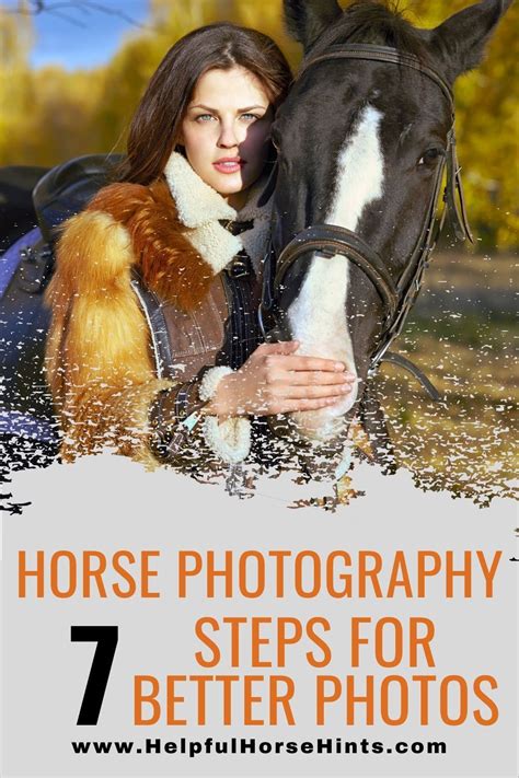In This Article We Cover 7 Ways You Can Improve Your Horse Photos