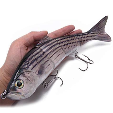 Best Striped Bass Lures Freshwater On The Market Today Spicer Castle
