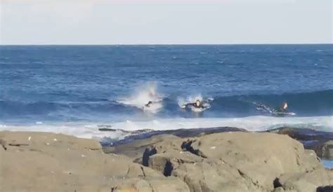 These Australian Surfers Were Chased From The Water By A Great White Shark The Inertia