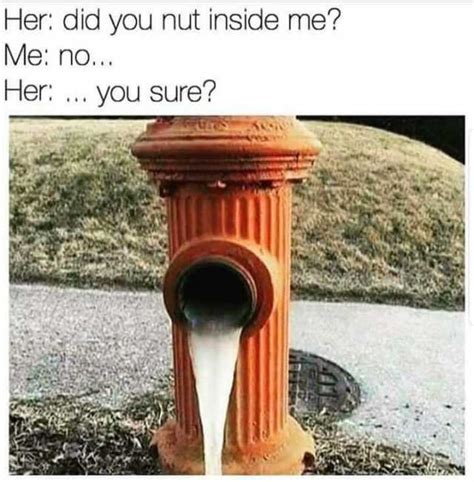 Her Did You Nut Inside Me Me No Her You Sure