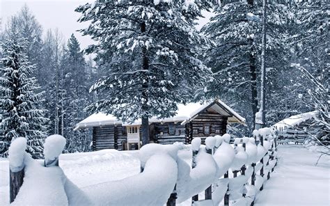Download Wallpaper For 240x320 Resolution Cabin Trees Forest Snow