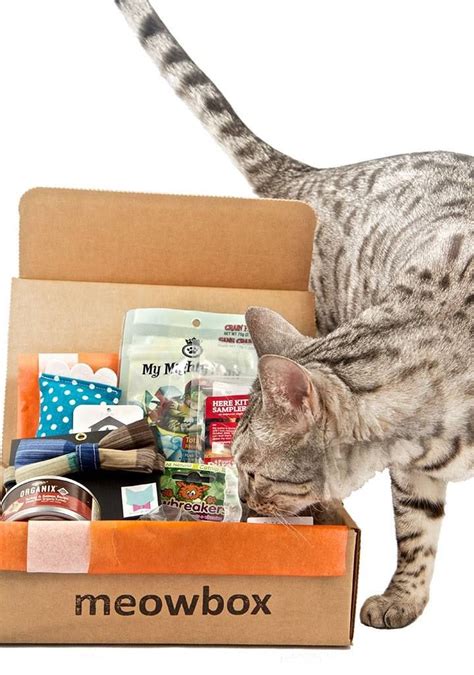 And not just any box, the best cat subscription box! meowbox is a monthly cat subscription box filled with fun ...
