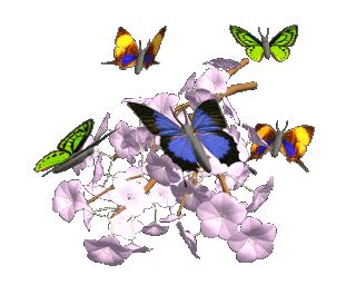 Bunga memiliki dua alat perkembangbiakan yakni putik dan benang sari. Gambar Kupu Kupu Yang Cantik dan Indah | Kumpulan Gambar