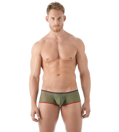 new gregg homme affair collection underwear news briefs