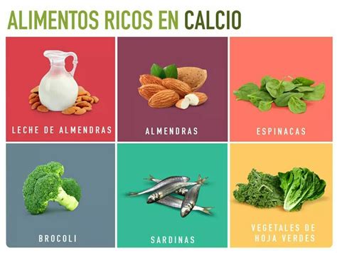 Alimentos Ricos En Calcio Food Healthy Tips Healthy Recipes