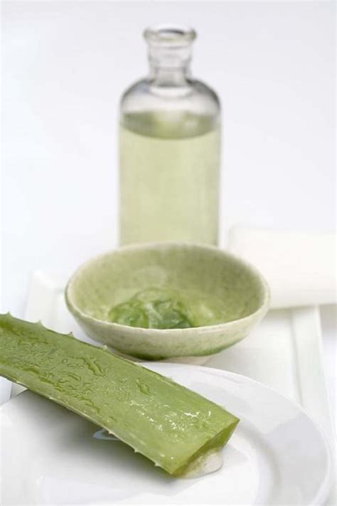 Advocates of using aloe vera for hair health point to its plentiful supply of vitamins , minerals, and other ingredients linked to hair growth. Homemade DIY Aloe Vera Spray For Hair ⋆ Bright Stuffs