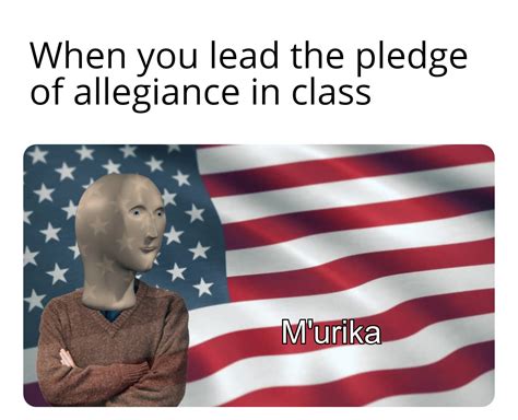 i pledge allegiance r memes
