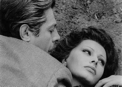 She Adored Marcello Mastroianni Sophia Loren A Life In Pictures Purple Clover