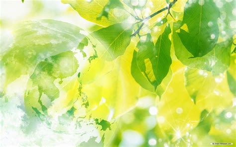 Greenish Yelow Nature Wallpapers 30 Wallpapers Wallpapers For
