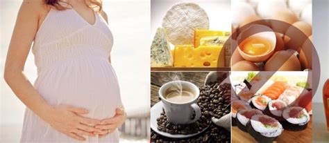 Here are some foods which pregnant women should avoid: Top 7 Foods That Cause Miscarriage During Early Pregnancy ...