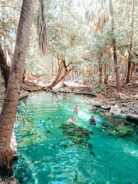 Mataranka Hot Springs 🤍 Hot Springs Vacation Instagram Photo
