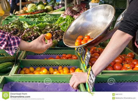 Person Buying Fresh Tomatoes At A Farm Market Stock Photo Image Of