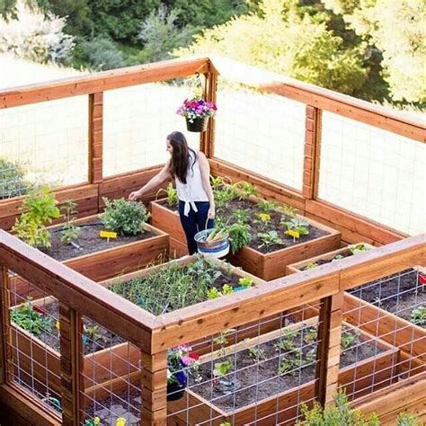 Amazing Ideas For Growing A Successful Vegetable Garden 25 Decomagz