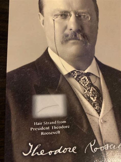 theodore roosevelt hair strand lock piece president relic unsigned usa ebay