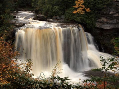 experience the beauty of blackwater falls state park