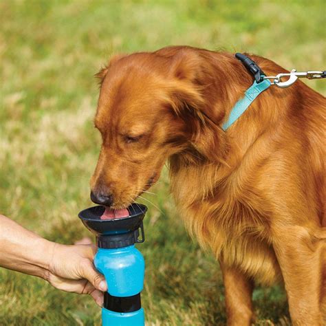 Outdoor Portable Dog Water Bottledrinking Cup For Pets Blue 500 Ml