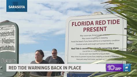 Red Tide Warnings Back In Place At Sarasota County Beaches Wtsp Com