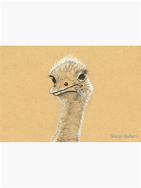 Ostrich Sketch Pen And Ink Wildlife Art Art Print For Sale By Khaotehk Redbubble