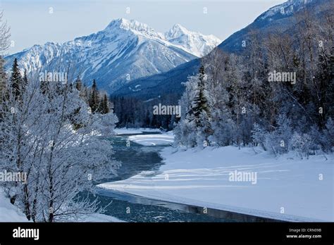 A Winter Scene Along The Illecillewaet River British Columbia Canada