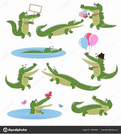 Crocodile Alligator Cartoon Daily Illustration Activities Funny