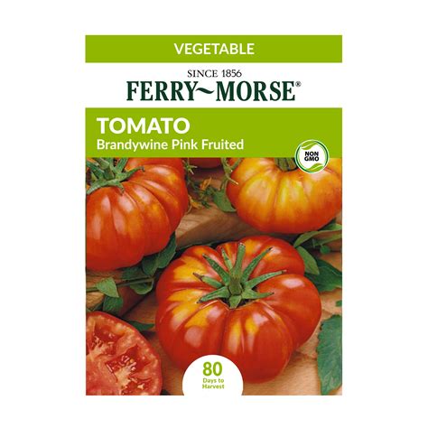 Ferry Morse 15mg Tomato Brandywine Pink Fruited Vegetable Plant Seed