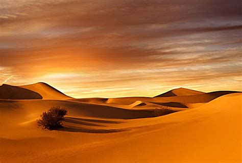 Wüstendünen Trakt Sand Hintergrund Wüsten Sonnenuntergang Wüste