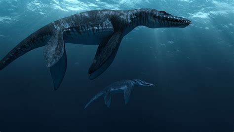 Maior Dinossauro Aquático Do Mundo Modisedu