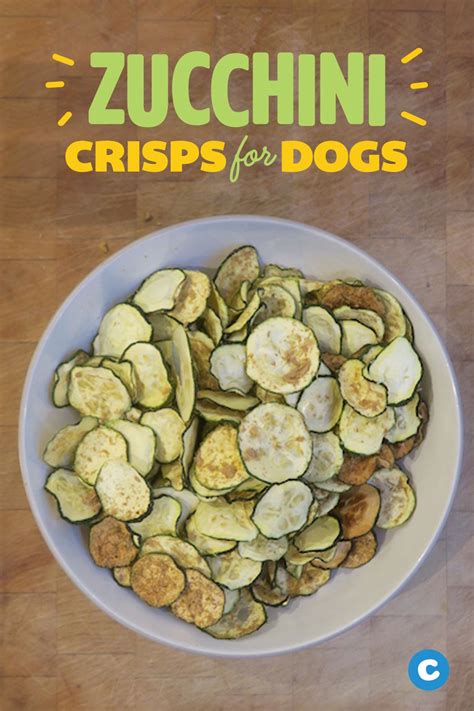 Treat your dog as you would any of your other family members by preparing nutritious food from trusted a note about calories: Zucchini Crisps for Dogs | Low calorie dog food, Make dog food, Frozen dog treats