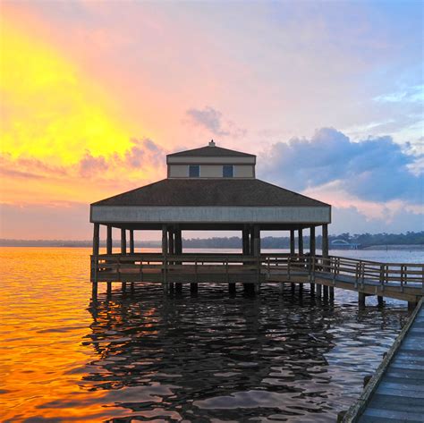 Best of the Bayou City | Houstonia