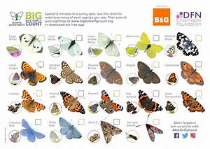 Join In With The Big Butterfly Count And Help Take Nature S Pulse